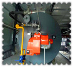 1 tph sawdust steam boiler | small coal fired boiler 