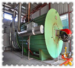 sawdust fuel 1 ton fire tube boiler | gas fired boiler for 