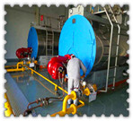 0.5t/h sawdust fueled boiler for yarn mill | thermic oil 